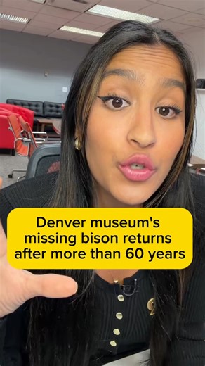 Denver museum's missing bison returns after more than 60 years