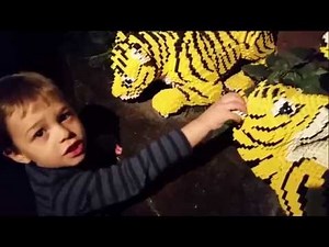 Indoor playground fun for kids. Video compilation from KIDS TOYS CHANNEL