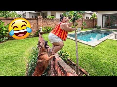 Try Not To Laugh 😂 Top 100 Funniest Videos Ever | Funny Fails Compilation 🤣 Epic Moments & Memes