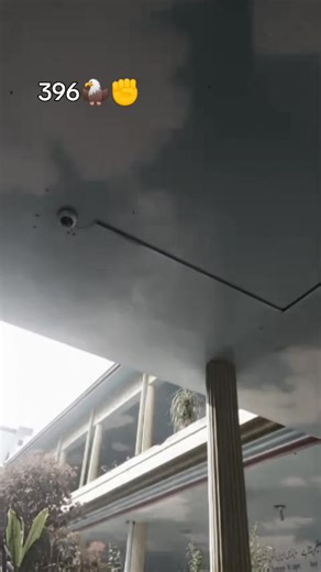 Exploring the Symbolism of the Eagle and Its Cultural Significance