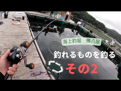 Don't give up even if the fishing is tough [Denhachiya Sea Fishing Pond]