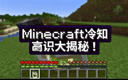 [中配]Minecraft冷知识大揭秘！ - Skip Squared