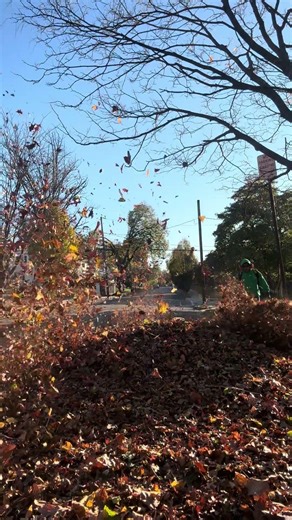 Fall cleanup #lawncare #shorts #redmax #business