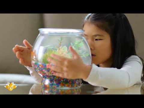 Learn Thai for Kids: Animals | Online Thai Lessons for Children