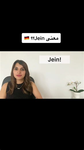 ما معنى Jein؟