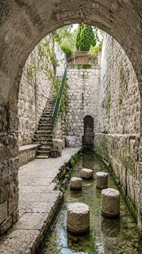 Where Jerusalem Began: The City of David