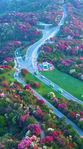 The Most Beautiful Flower Park in the World 🌸🌿 #Shorts #explore #nature