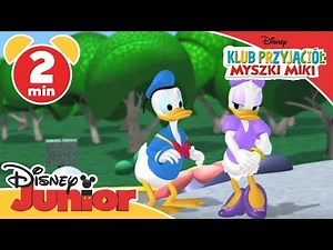 Klub przyjaciół Myszki Miki - Walentynkowy prezent dla Daisy. Oglądaj w Disney Junior!