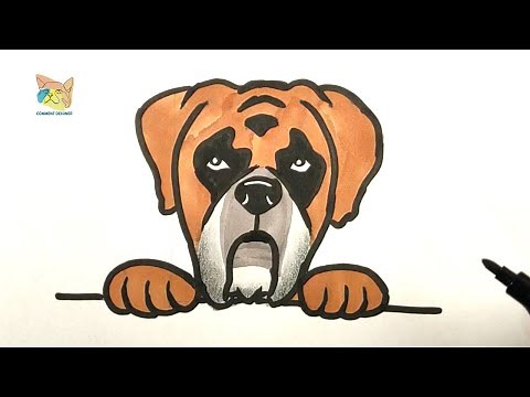 comment dessiner un chien boxer