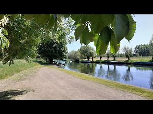 Spreewald 2020