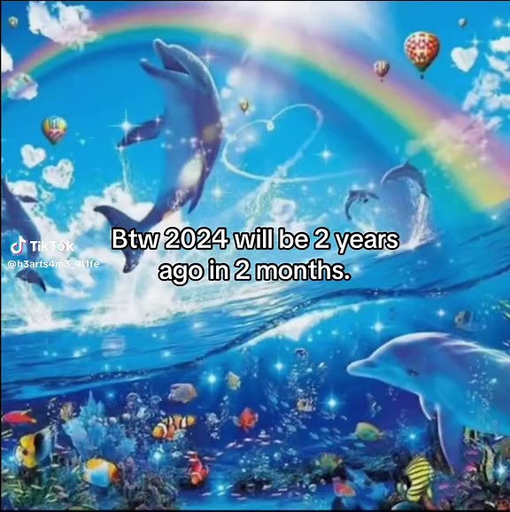 Nostalgic Reflections on 2025 and 2024 Memories