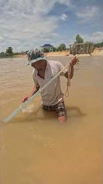 A cast net fishing traditional trap in the village #shorts