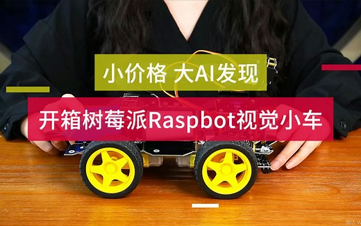 用树莓派打造的AI智能小车，价格竟然可以做到这么亲民，快来跟小姐姐一起探索一下吧~~