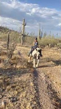 Maggie the Gypsy Vanner: First Trail Ride