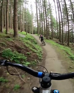 Some of the best singletrack trails are laying in wait for you to discover them in Innsbruck - Tyrol (Austria) 💯 💯 💯 #MyInnsbruck | Red Bull Bike