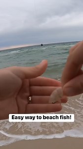 Easiest way to catch fish on the beach | Bama Beach Bum