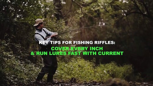 How to Read a Trout Stream