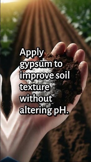 5 Quick Tips to Improve Clay Soil Fast!