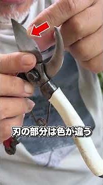 [EXTREMELY IMPORTANT!] Essential Garden Maintenance: Easy Pruning Shears Care!