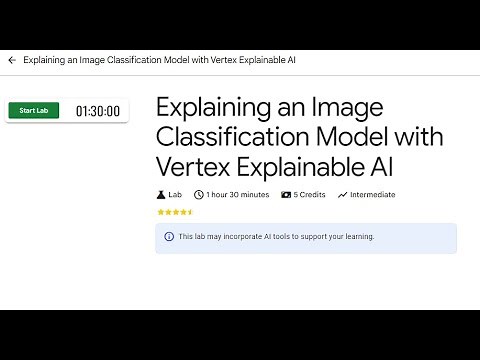 Explaining an Image Classification Model with Vertex Explainable AI
