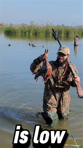 Duck hunting in Pakistan today duck hunting hunting tips and tricks hunting duck calling tips