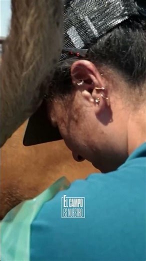 Las razas de vaca preferidas de Bea