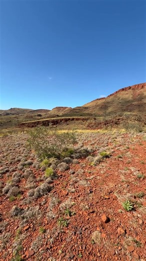 Tom Price | Untamed Australia