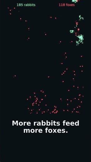 The Endless Equation of Survival 🦊🐰