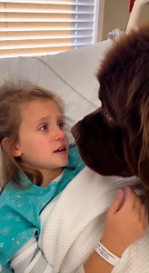 Sick girl prays with dog | Jesus Lover