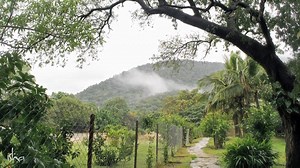 Named after the 90-day intensive program conducted at the Isha Yoga Center in 1994, Wholeness is an instrumental track of flute and guitar. Witness some beautiful imagery of the ashram in the video. Also watch for a message from Sadhguru in this track. Download here: https://www.ishashoppe.com/downloads/portfolio/wholeness-music/ | Sounds of Isha