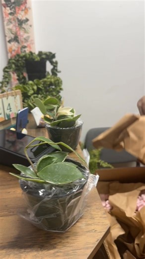 🌿 Something lush is sprouting in town! 🌿 Get ready to bring nature indoors. Lushes Leaves by LuLu is opening its doors! 🗓️ Friday, November 7th, 2025 📍 55 Lake Street Unit 3-3A ⏰️ 10am - 4pm 📱 (603) 300 - 8533 #LushesLeavesbyLuLu #PlantShop #GrandOpeningSoon #NewBusiness #PlantLover #NashuaNH #ShopLocal #GreenThumb #ComingSoon | Lushes Leaves by LuLu