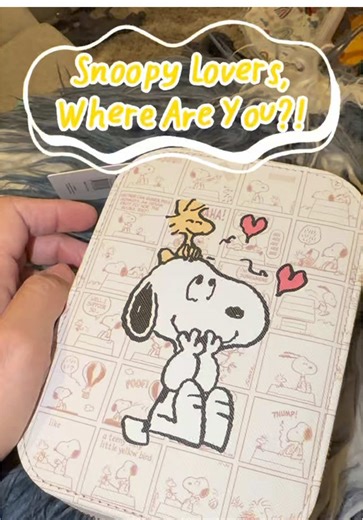 Favorite Makeup Case with Lighted Mirror