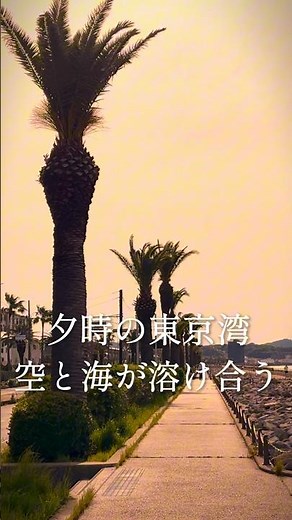 夕日の東京湾に、空と海が溶け合う。｜馬堀海岸遊歩道 横須賀 Mahori Coast Promenade, Yokosuka