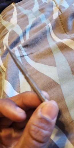 Stingray Barb Removal: How to Safely Handle and Remove Stingray Barbs