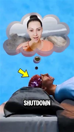 How Long Is the Brain Active After Death