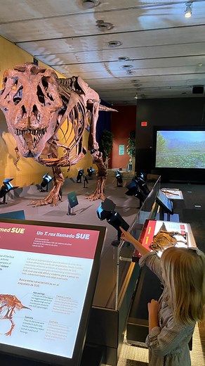 7.7K views · 18 reactions | LAST CALL to meet 練 SUE, the T. Rex...