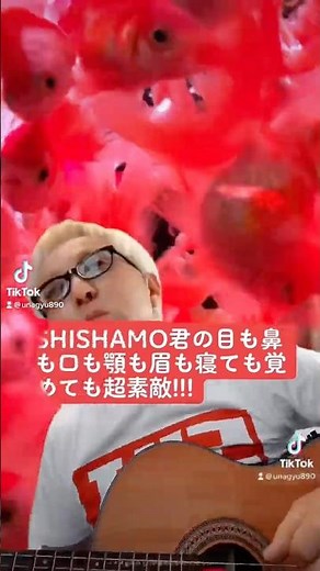 #SHISHAMO #君の目も鼻も口も顎も眉も寝ても覚めても超素敵!!! #ギター #弾き語り