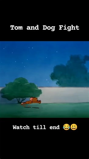 𝐓𝐨𝐦 𝐚𝐧𝐝 𝐉𝐞𝐫𝐫𝐲 𝐯𝐢𝐛𝐞𝐬 | 🎬Homeless Hare is a 1950 Warner Bros. Merrie Melodies animated short directed by Chuck Jones and written by Michael Maltese, starring Bugs... | Instagram