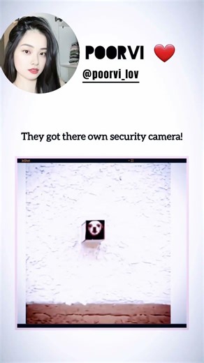 They got there own security camera