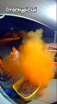 Porch Pirate gets instant KARMA-Gets Blasted in Seconds (Best of the Week)