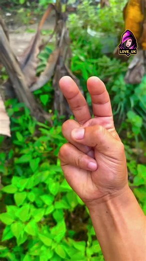 Easy Home Fixes You Need, Quick Cleaning Secret Revealed, Kitchen Hack Surprise Now . . . . . . . #creatorsearchinsights #homehacks #lifehacks #cleantips #kitchenhacks #diyhacks #learnontiktok