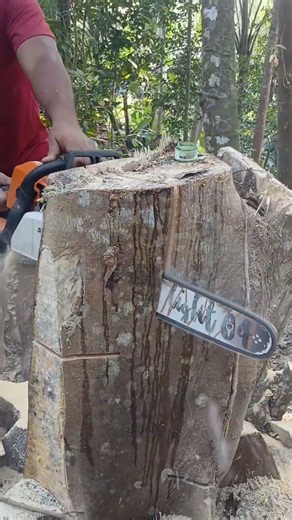 easy-to-use mini machine