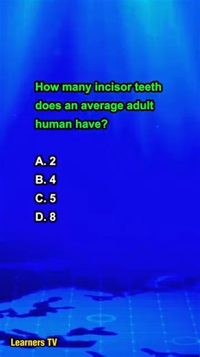How many incisor teeth does an average adult human have? #learnerstv #knowledge #education #quiz | Learners TV
