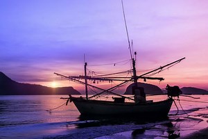 Fish Groups Collaborate to Enhance Sustainability in SE Asia