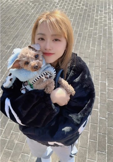 もあらぶー‪🫶 #ゆちゅか #犬のいる生活 #トイプードル #お散歩