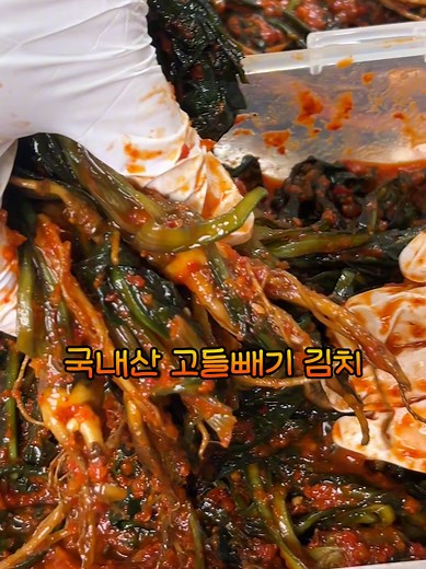 전라도식 고들빼기김치: 별미의 진수를 경험하세요