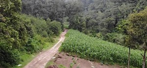 241K views · 174 reactions | Imagine working side by side with a community abroad. Do the unexpected. Apply now. | Peace Corps | Facebook