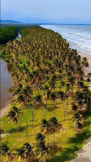 Manzanilla Beach #trinidadandtobago #caribbean #drone