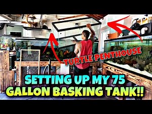 SETTING UP MY 75 GALLON TURTLE BASKING TANK!! TURTLE PENTHOUSE!!