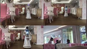 High Quality Service Roboter Humanoid Intelligent Programmable Humanoid Robot